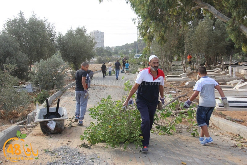 tasoooi3i1412 (38).JPG